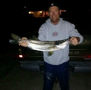 Meet your Posher, Rodney